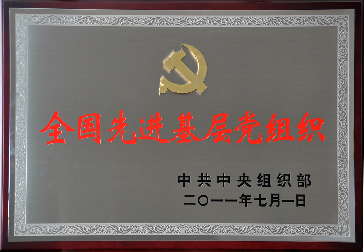 2011年7月，紅豆集團黨委榮獲“全國先進基層黨組織”稱號